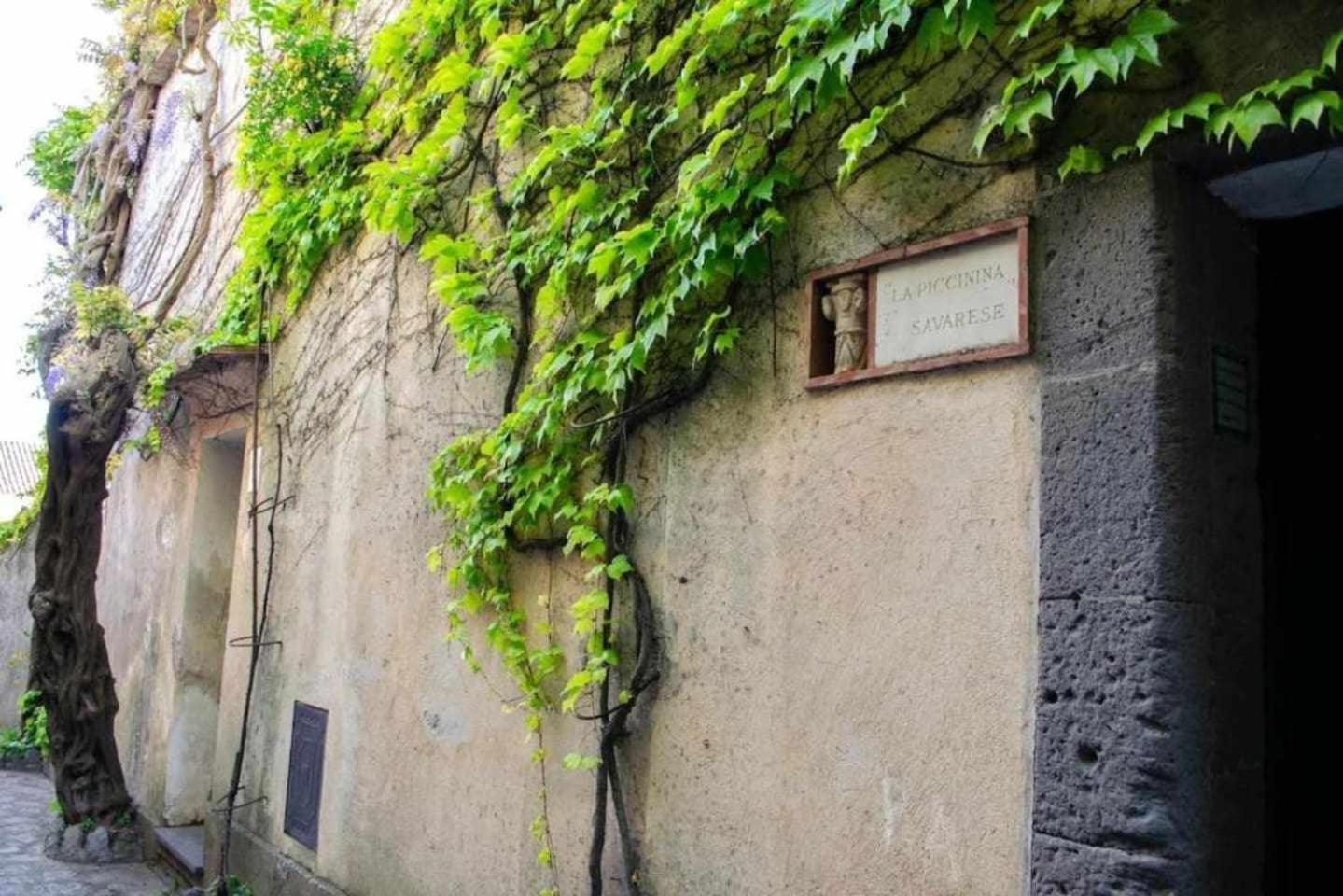 Villa Piccinina A Pochi Passi Da Villa Eva Ravello Exteriör bild
